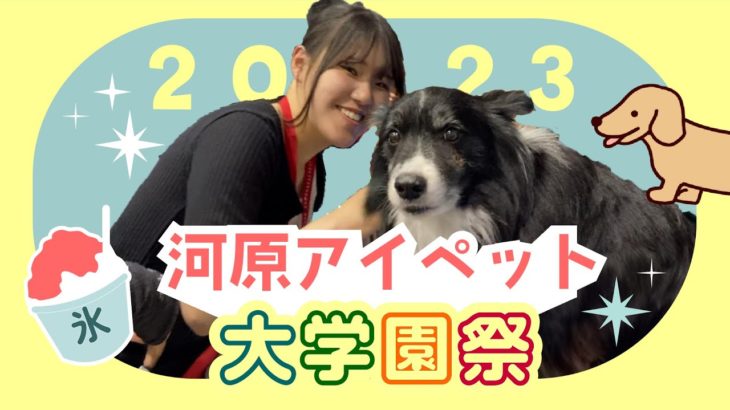 河原学園  大学園祭2023【河原アイペットワールド専門学校】