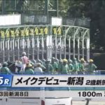 【2歳新馬/テリオスルル】メイクデビュー新潟［2023.9.3 新潟第5R/1800m 芝］