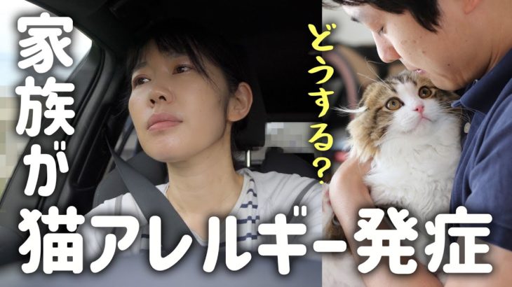 愛猫との生活は？｜3週間で腹筋を割った43歳のダイエット｜ ビリーズブートキャンプ