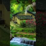 ####daily shorts####videos🥰upload🌹🌷trending👍viral😍🌿🍃nature beauty❣️💕vibes🏠 house 🚩lake 💕💟 waterfall📸