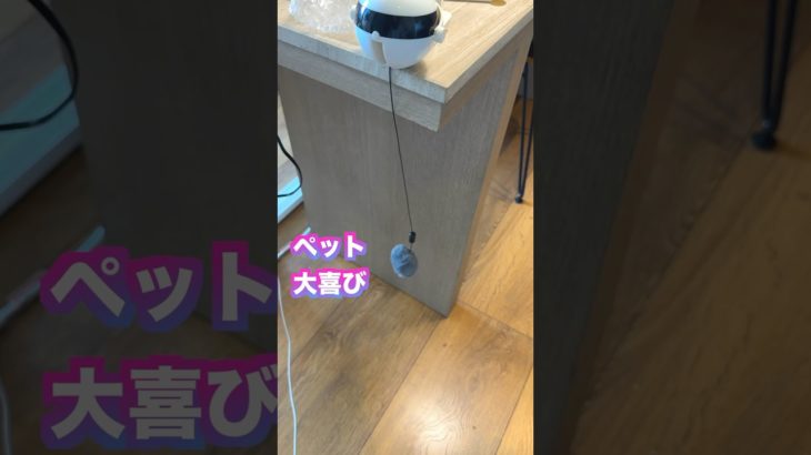 大陸謎ペット喜ばせ装置