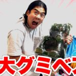 巨大グミをみんなで食べてみたら糖分過多でぶっ倒れそうになった！？