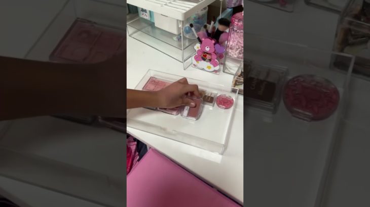 #生活音 #キャンメイク #ロムアンド #セザンヌ #メイベリン #ケイト #コスメ #ダイソーコスメ #小2