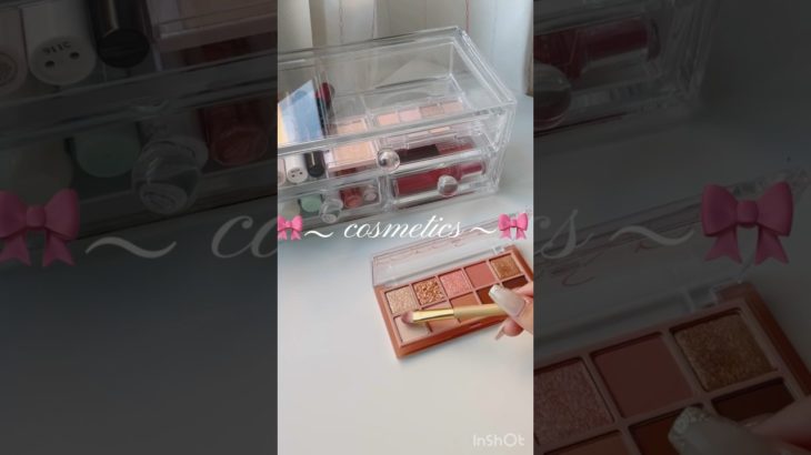 後少しで200人だ！ #生活音 #メイク #かわいい #収納 #コスメ #リップ #ケース #アイシャドウ #メイク好き