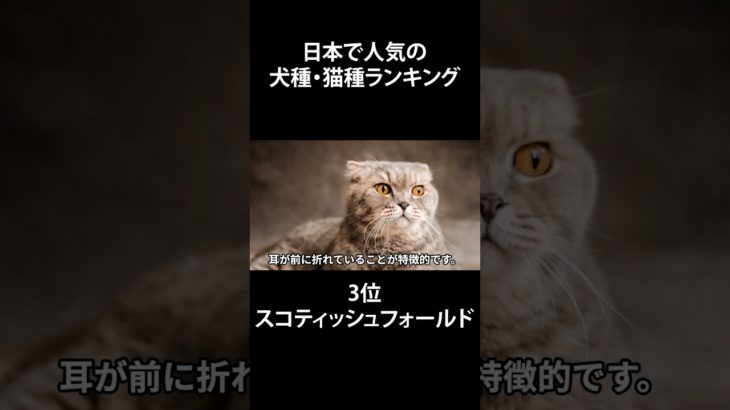 犬猫人気ラインキング3位　#shorts  #ペットランキング #ランキング