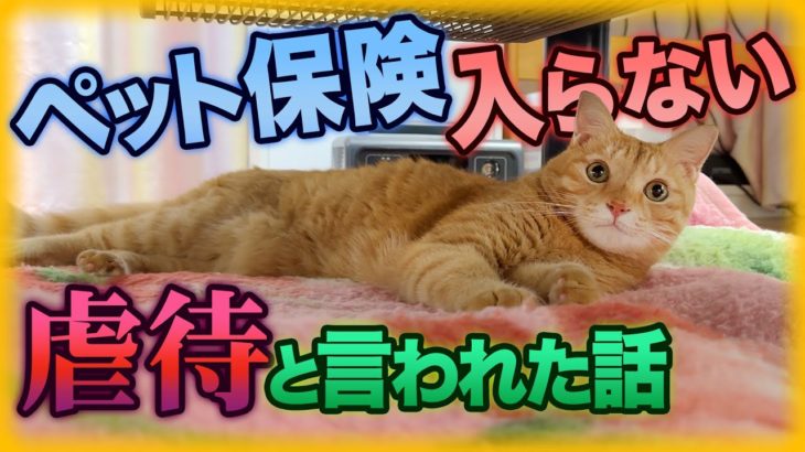 【再UP】ペット保険に入らなければ◯待だと言う方へ