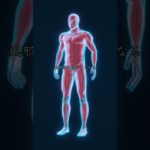 あなたの理想のダイエット法は一つしかない #shorts #人事 #ウェルネス #健康 #ダイエット