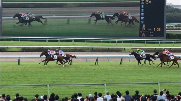 【現地】ジューンブレア 武豊 メイクデビュー中山 能力断然