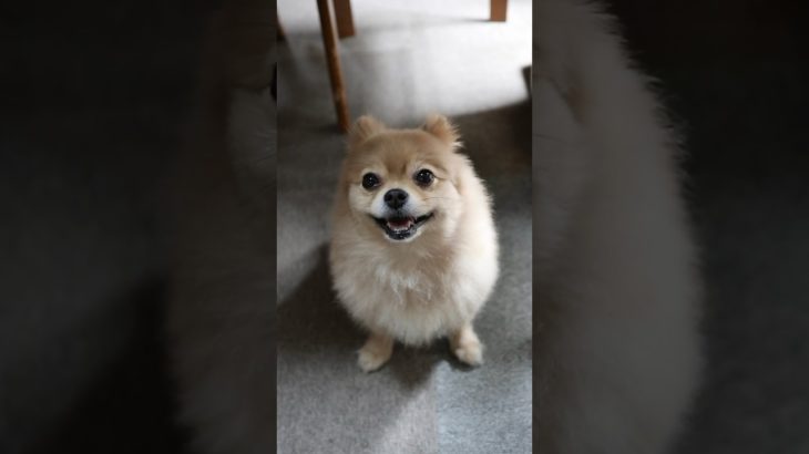 ダイエットの話ししたら…