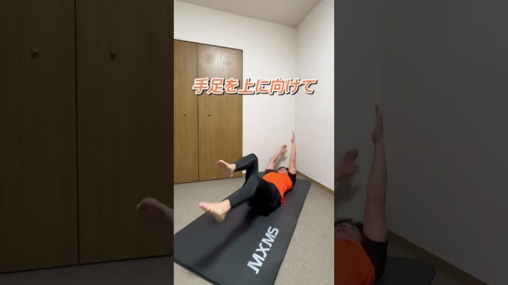 【ぽっこりお腹撃退！】寝っ転がりながらやってみてね！#ダイエット#リバウンド#リバウンドしないダイエット#宅トレ#お腹痩せ#お腹引き締め#体幹