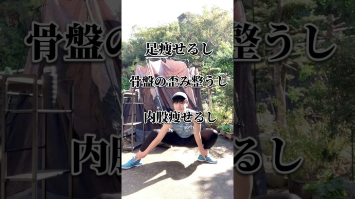 歩く100倍効果ありそうなトレーニングである#ダイエット #ダイエットトレーニング #ショート #宅トレ #エクササイズ