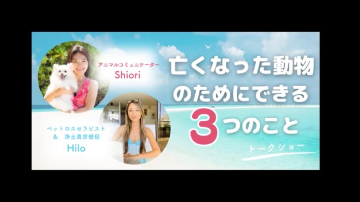 ペットの命はなぜ短いのか？亡くなった家族たちのためにできる3つのこと