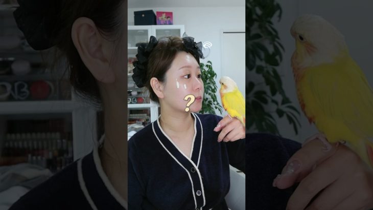 インコと一緒にGRWM with filo!!!ありがとう🥰❤️#grwm #出かける準備 #メイク #メイク動画 #インコのいる生活 #インコ #ウロコインコ #greencheekconure
