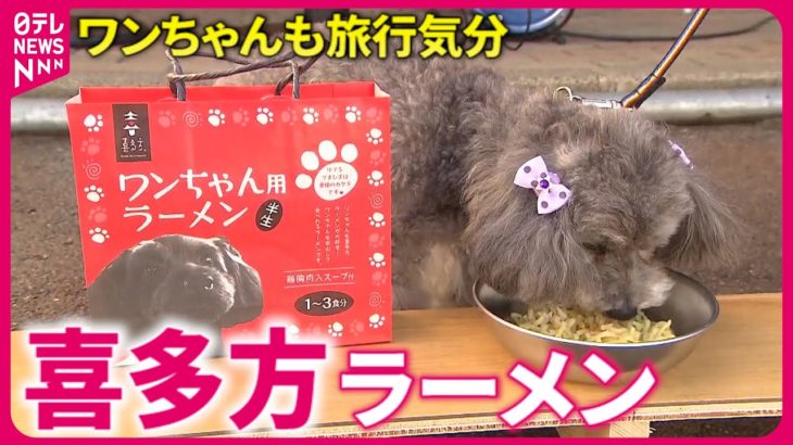 【発売】犬専用の”喜多方ラーメン” ペットと味わえるご当地の味　福島　NNNセレクション