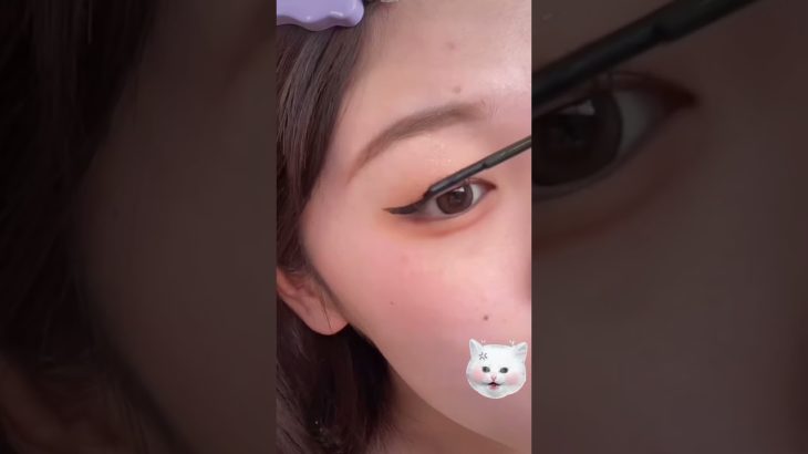 冬のオレンジメイク🍊 #一重メイク #メイク #一重女子 #プチプラメイク #美容 #アイメイク #makeup #一重 #イエベメイク #オレンジメイク #冬メイク