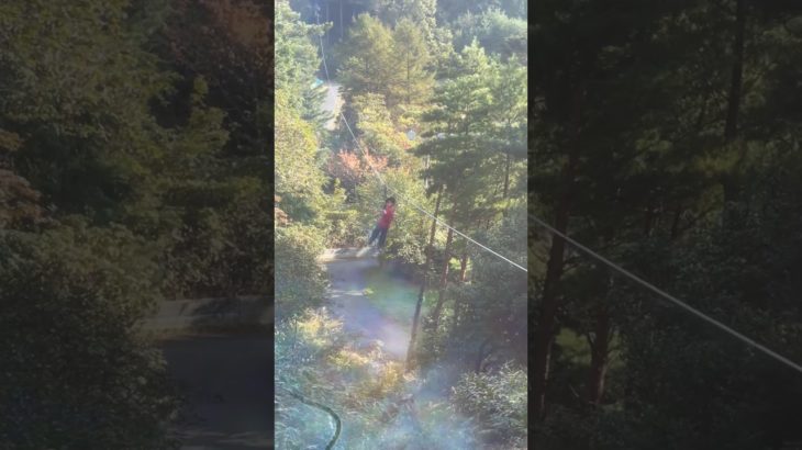 ジップライン少年ボーイ#アスレチック#ジップライン#フィッシャーズ#shorts