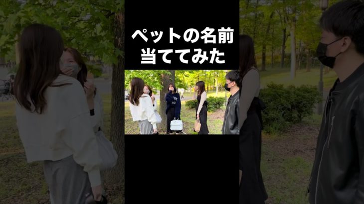 ペットの名前を当てるマジック