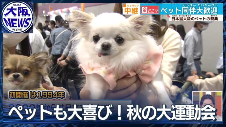 【中継】同伴、大歓迎！ 日本最大級のペット博が開幕  進化するペット市場を探る