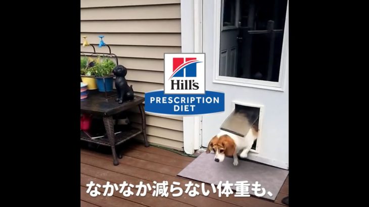 それが、サイエンスの力。プリスクリプション・ダイエット