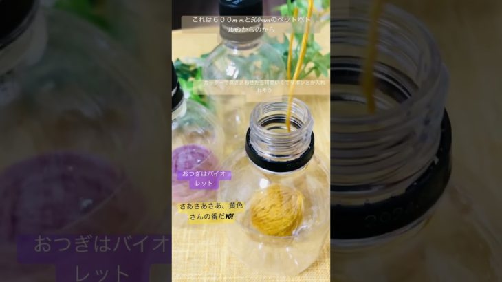 キレイに洗ったこれらペットボトルをかわかし・カットしここまでにいたること1週間あとこれにあみくるんでいこうかな♪( ´▽｀)２本で1個できる #毛糸 #ハンドメイド #ペットボトル #eco
