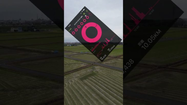 【ダイエット】こつこつダイエット経過報告　令和5年12月3日 #diet #نظام_عذائي #こつこつダイエット