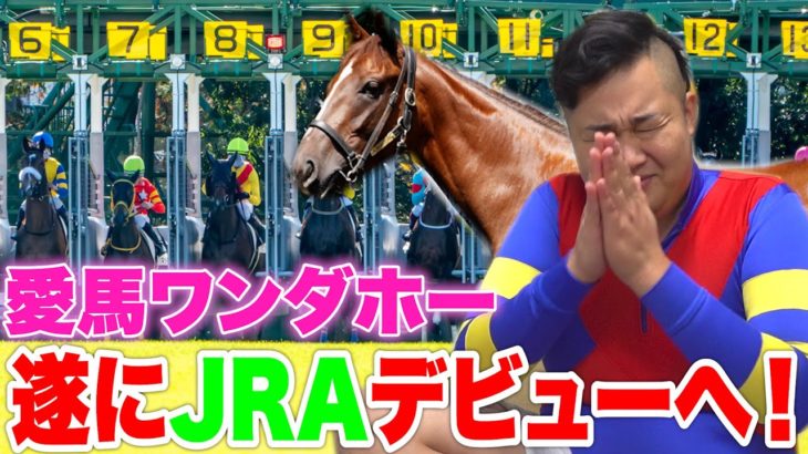 愛馬ワンダホーJRA芝2000mで生涯に一度のデビューを横山武史ジョッキーと向かいます！！【馬主】