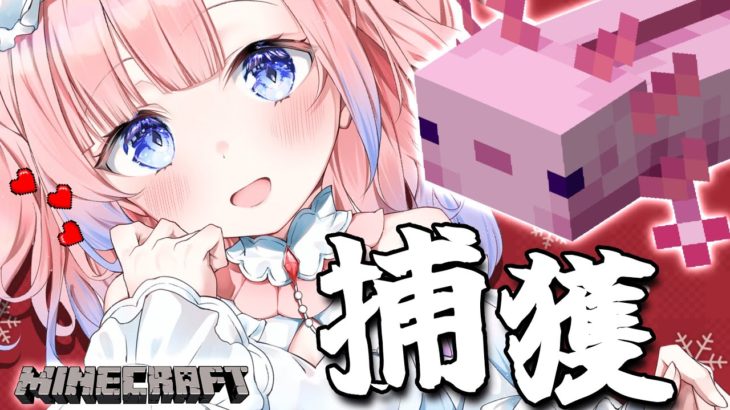 【 Minecraft 】サンタさん！激かわなペットが欲しいのです…( ˶’‪ᯅ’˵)♡【白星あわわ/Varium】
