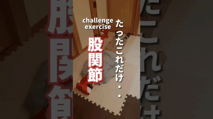 【股関節】たったこれだけ…#ダイエット#脚やせ#fitness #shorts