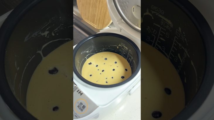 【炊飯器】高タンパク低脂質なヨーグルトプロテインケーキ！#shorts #ダイエットレシピ #dietfood