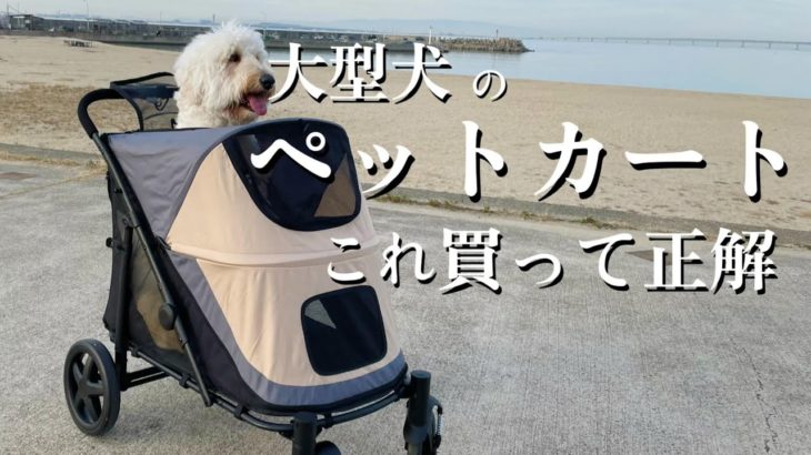 大型犬用ペットカート買って大満足したのでレビューします