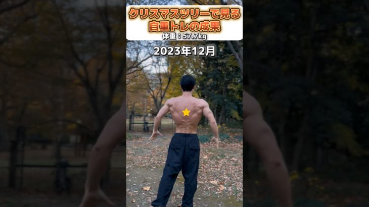 【自重トレのみ】背中のクリスマスツリー #広背筋  #筋トレ #ダイエット #減量