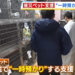 被災したペットの「一時預かり」…石川の動物病院で取り組み　飼い主の命も救うために（2024年1月19日）