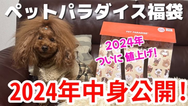 【ペットパラダイス 福袋】2024年ペットパラダイスの福袋値上がりした中身を大公開！！【DS女の子用】アリス編