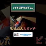 見つめ合うじんとンダホ#shorts #スカイピース #スカイピース切り抜き #フィッシャーズ #スカイピースのアルバム更新