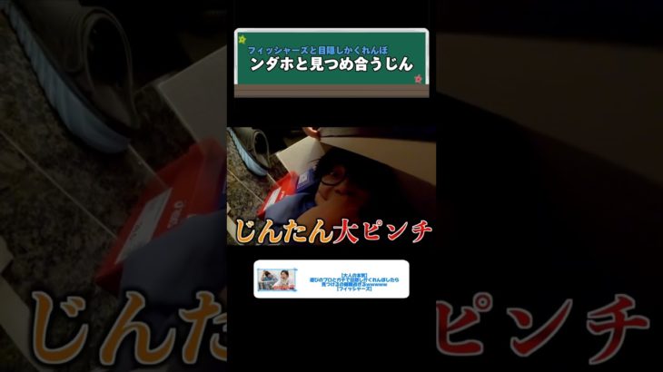 見つめ合うじんとンダホ#shorts #スカイピース #スカイピース切り抜き #フィッシャーズ #スカイピースのアルバム更新