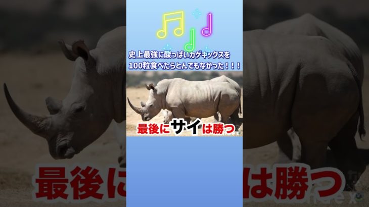 【フィッシャーズ】歌をうたう【おもしろ切り抜き】#shorts #fischers