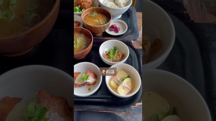 【ダイエット本読みすぎ！】 #ズボラダイエット #痩せたいけど食べたい #ダイエット #ベルラスダイエット #食べて痩せる #ダイエット方法 #ファスティング