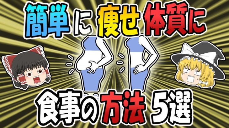 【ゆっくり解説】＜ダイエット＞簡単に痩せ体質になっちゃう食べ物５選