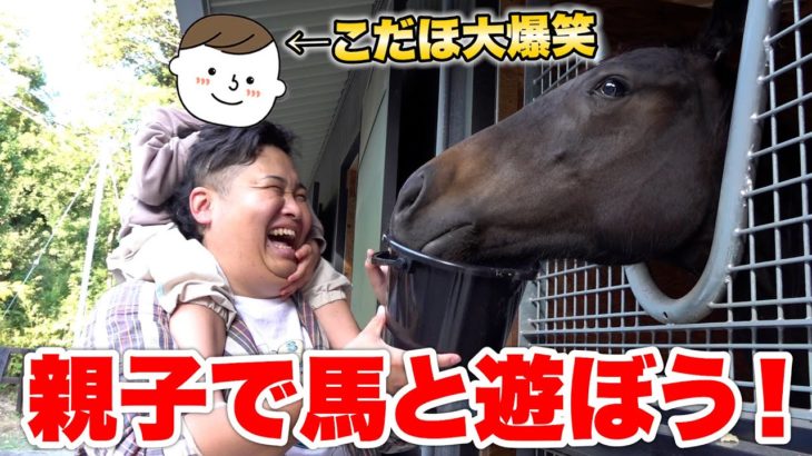 【おでかけ】親子で馬のふれあい体験に遊びに行ったら長男こだほ大喜び！！
