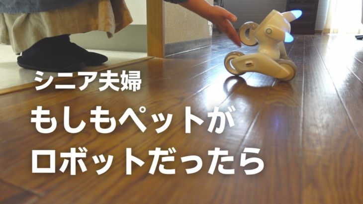 【ペットロボット】もしもペットがロボットだったら/シニアvlog