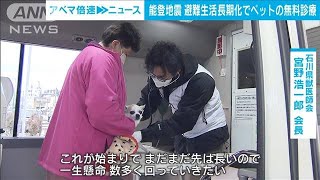 能登地震　避難生活長期化でペットの無料診断(2024年2月8日)