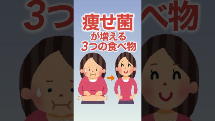 痩せ菌が増える3つの食べ物！#痩せる #ダイエット #雑学