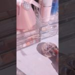 今955人！ありがとう😭音大きくするの忘れてました💦 #カチャカチャ音 #生活音 #メイク #初心者 #コスメ #ピンク系統