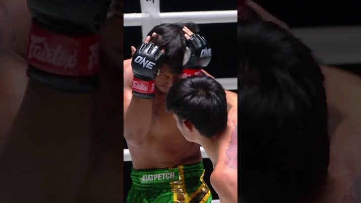 ペットセンチャイがペッダム・ペットギャットペットを鮮烈KO👊💥