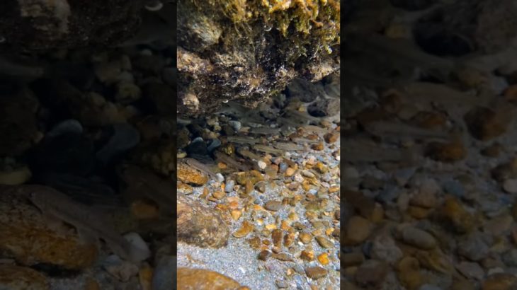 The beauty of nature – You didn’t think it was beautiful #satisfying