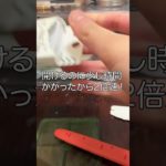 プチ購入品紹介　 #メイク　#asmr   #生活音