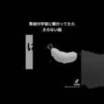 究極のダイエット法#宇宙に放出#ダイエット#食べたいもん食べたい#コミックエッセイ#漫画#manga#宇宙#私の胃袋は宇宙だ#どっかで聞いたことある