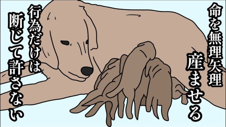 【アフレコ】全国のペットショップ潰せ