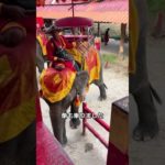 #筋トレ #ジム #ダイエット