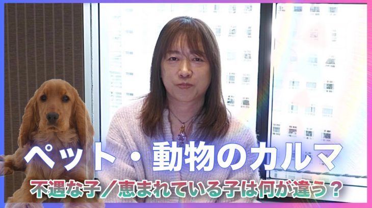 ペット・動物のカルマ／不遇な子と恵まれている子は何が違うのか／カルマは体験：並木良和
